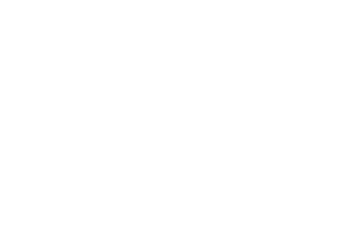 New Dawn New Day
